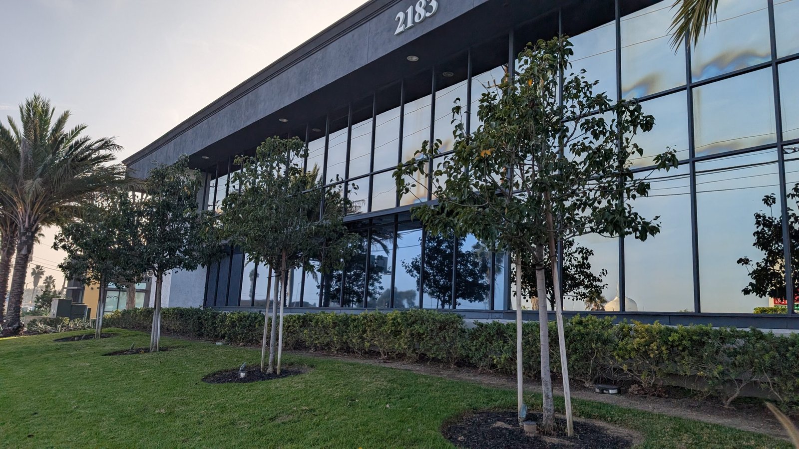 Commercial Window Cleaning